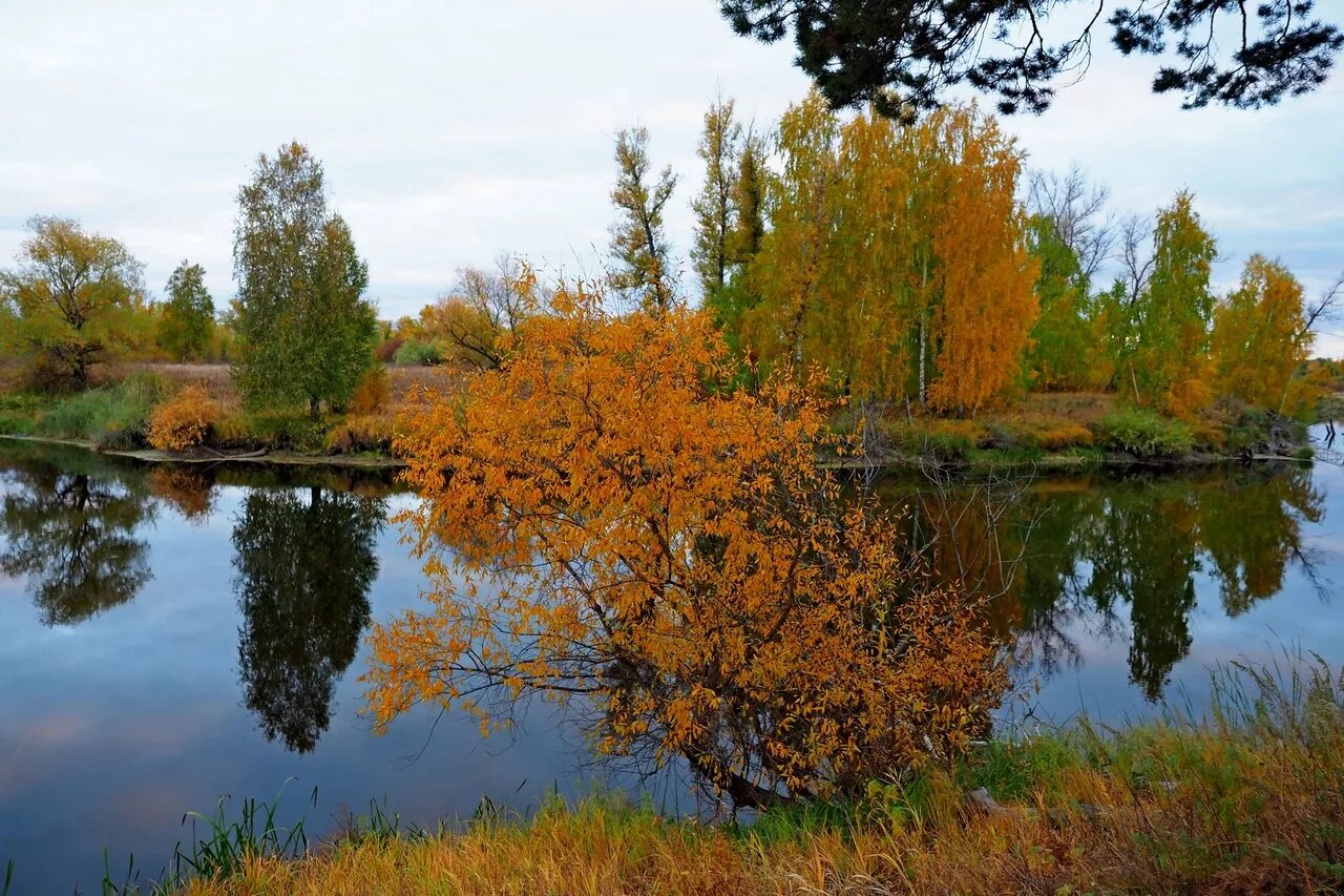 Вечер осенью у реки. Курган над рекой. Как выглядит река курагн. Черная речка курган