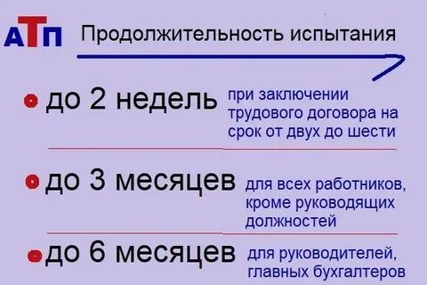До 6 месяцев испытание