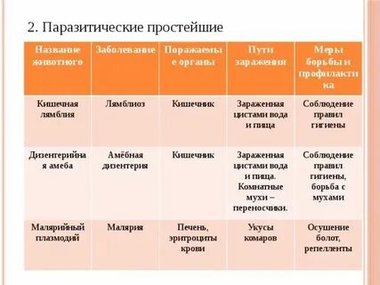 Паразитические простейшие 7 класс биология