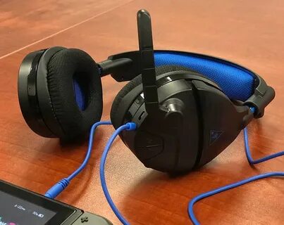 Turtle beach
