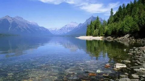 Но особенно хороши горные леса около моря