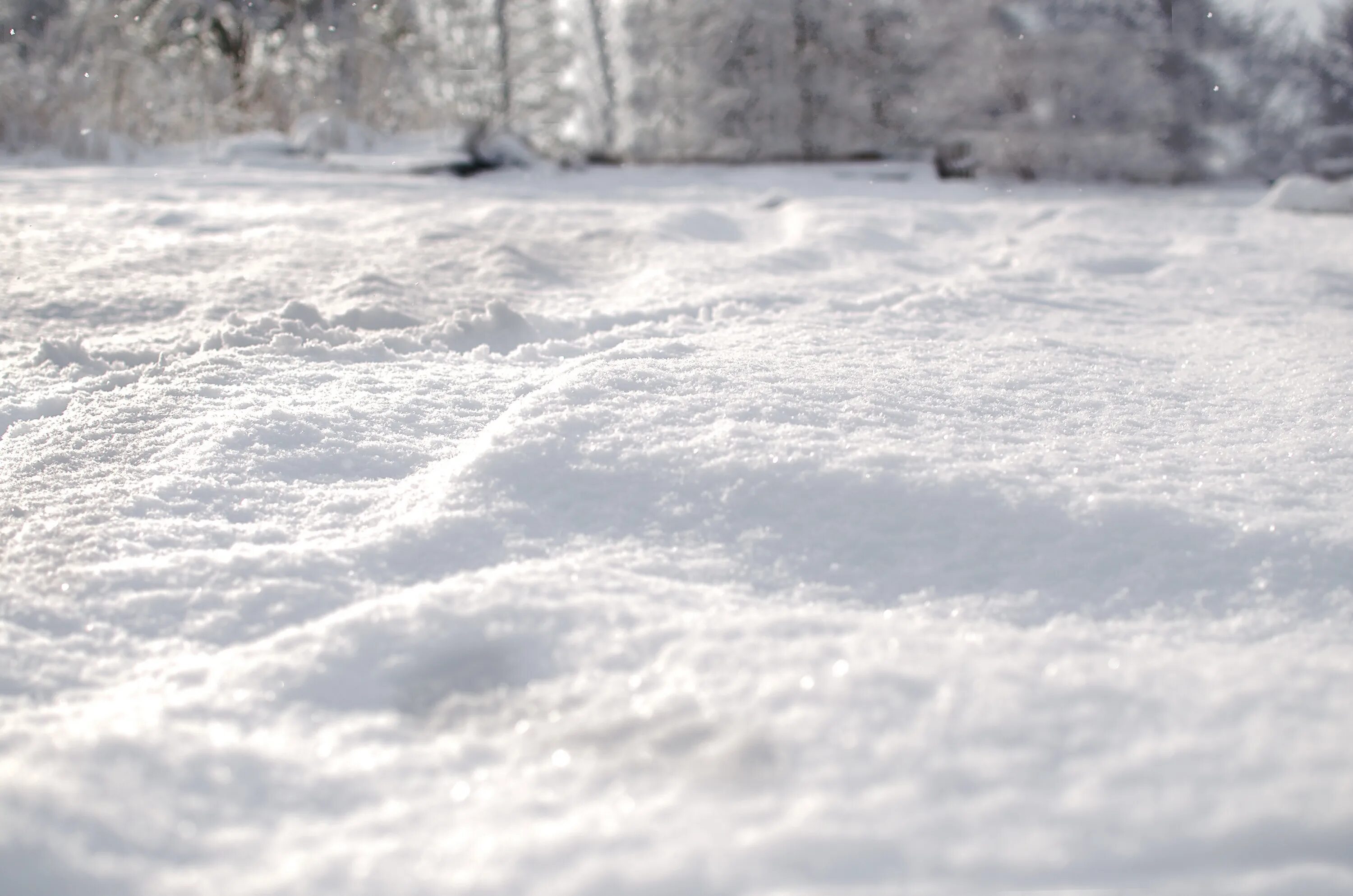 Snow coverage