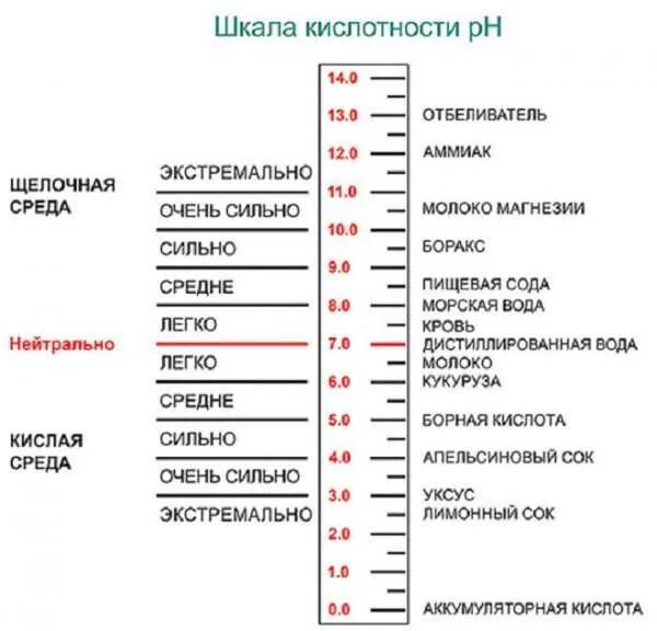 Кислотность почвы 7. Рн кислотность шкала для растений. шкала кислотности ph почвы. кислотность почвы таблица ph. шкала кислотности почвы рн.