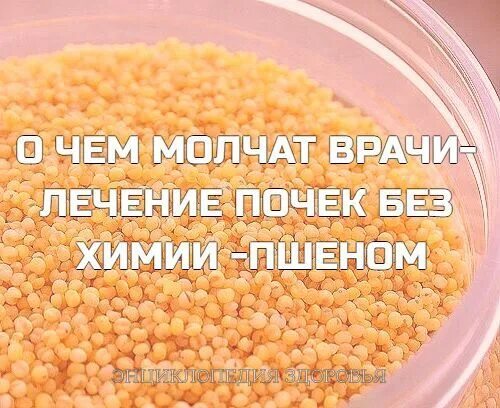 Пшено от камней. Настой пшена. пшено для почек. почки вылечим пшеном. отвар из пшена.