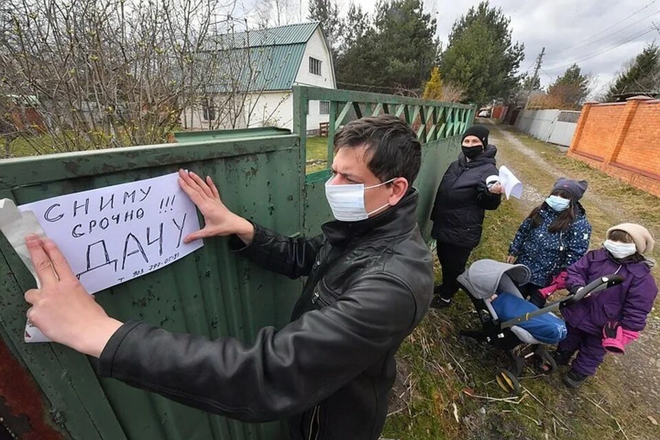Горожанин разбор