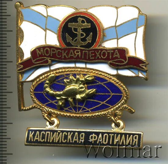 Морская пехота Каспийской флотилии. 506 Бригада морской пехоты Каспийской флотилии. 177 Полк морской пехоты Каспийской флотилии эмблема. Почта морских пехотинцев