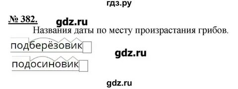 Русский язык 5 класс упражнение 382