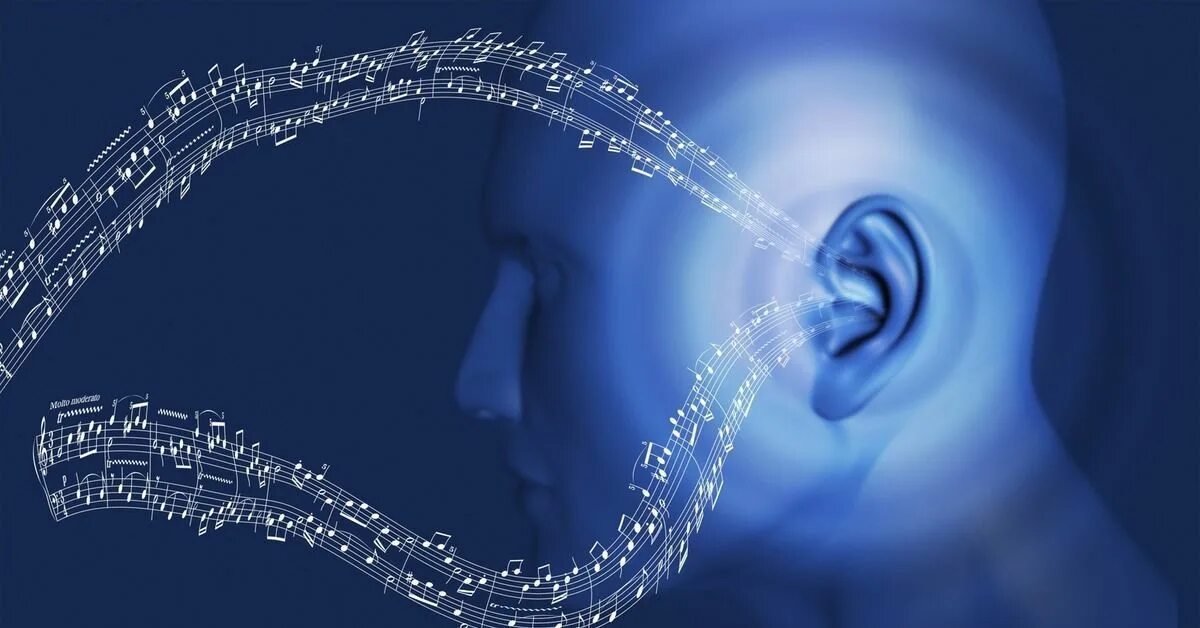 Слух и восприятие звука. Слуховая информация. Человек и звук. Ухо и звуковые волны. Слуховые представления.