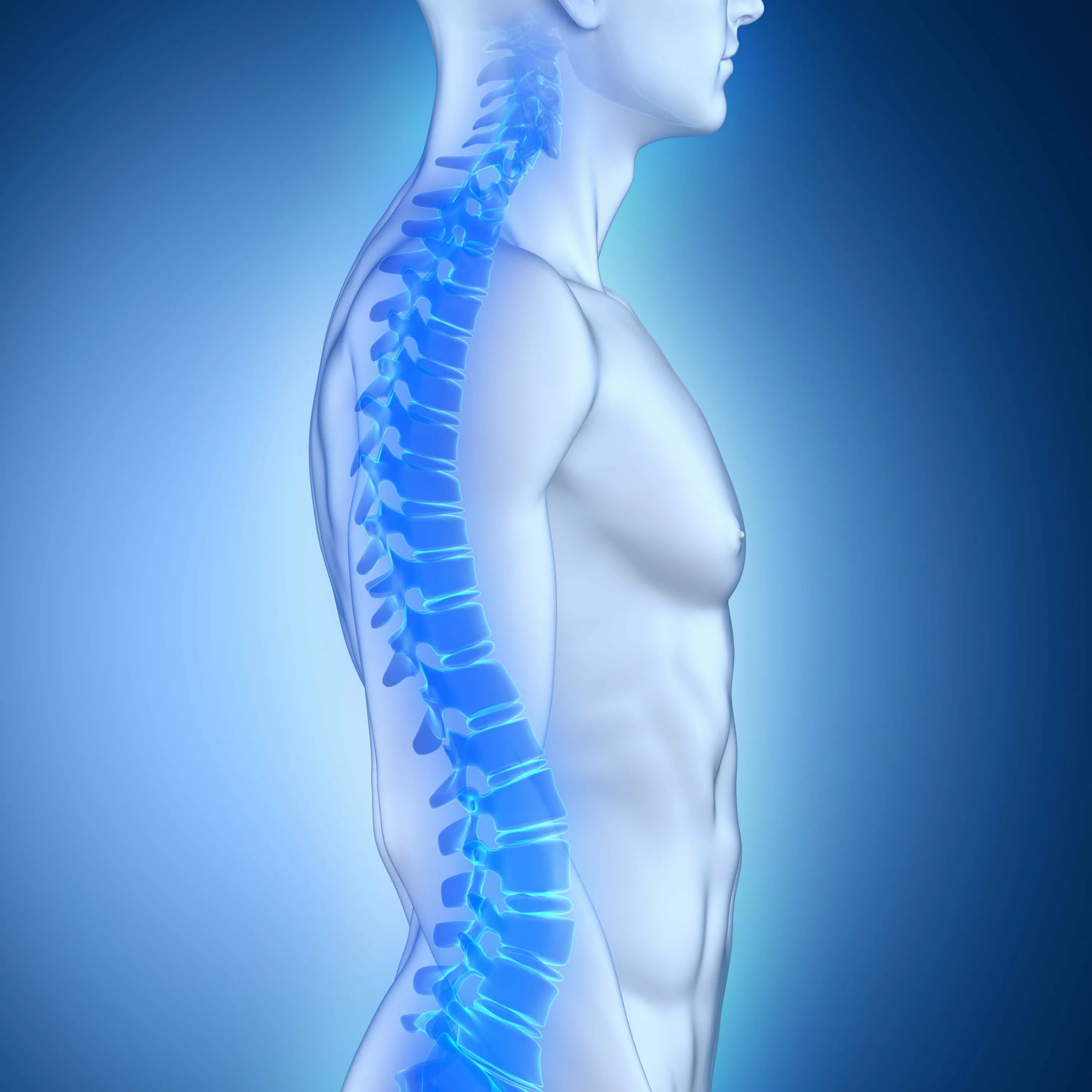 как должен выглядеть позвоночник. как должен выглядеть позвоночник. как должен выглядеть позвоночник. сколиоз грудного отдела позвоночника 2 степени. здоровый позвоночник мужчина.