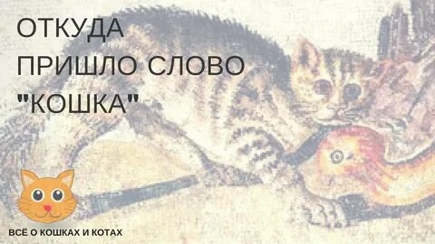 Кошка слова