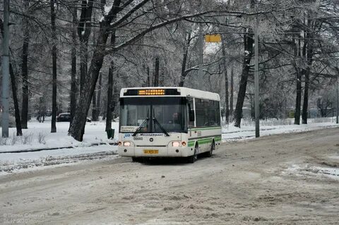 Олений вал