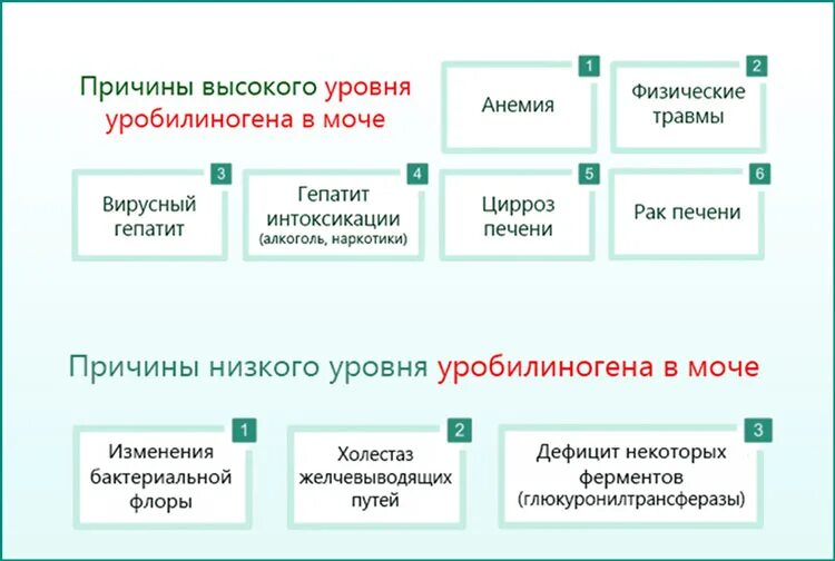 Уробилиноген в моче повышен у мужчин