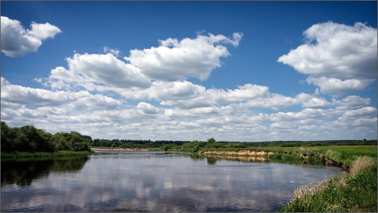 Река припять. Припять (река) реки Белоруссии. Река Припять в Белоруссии. Долина реки Припять. Река Турья Припять.