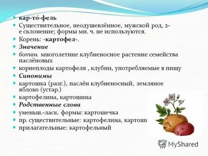 Корень в слове картошка картошечка