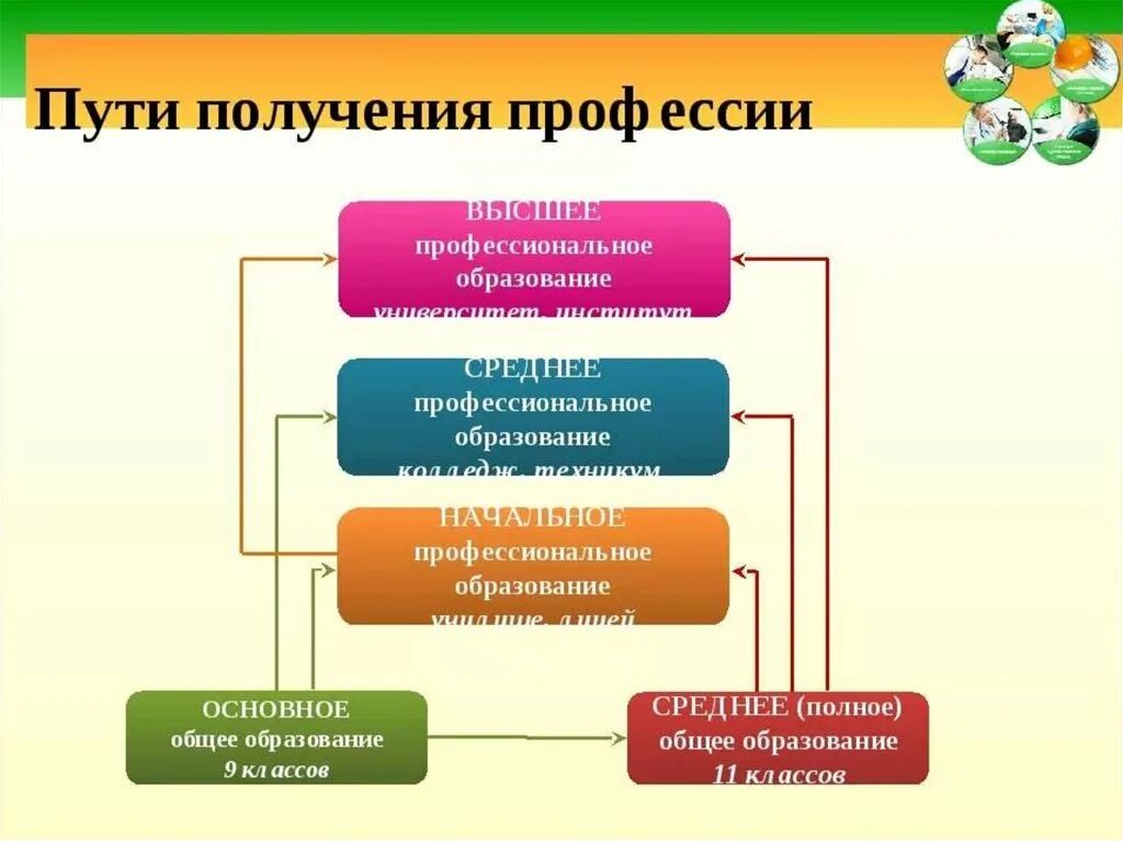 Какое второе образование получить. Пути получения профессии. Пути получения профессионального образования. Пути получения выбранной профессии. Схема получения профессионального образования.