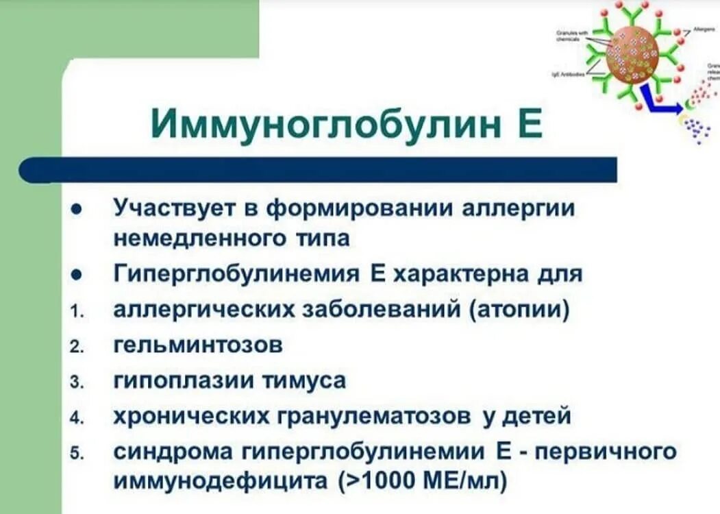 Е повышение. Иммуноглобулин е функции. Общий уровень иммуноглобулина е. Роль иммуноглобулина е. Иммуноглобулин е при аллергии.