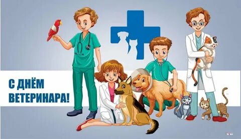 С днем ветеринара картинки прикольные