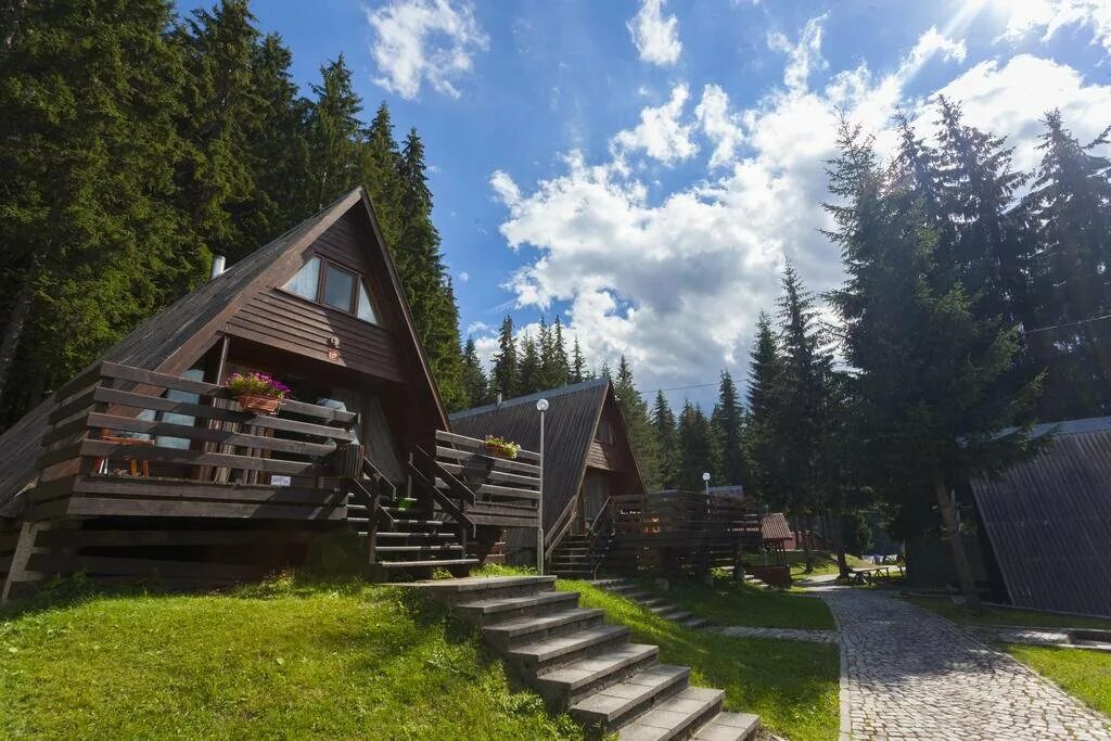 Лес Холидейс Владимирская область. Лес Холидейс Владимирская. Green forest holiday village