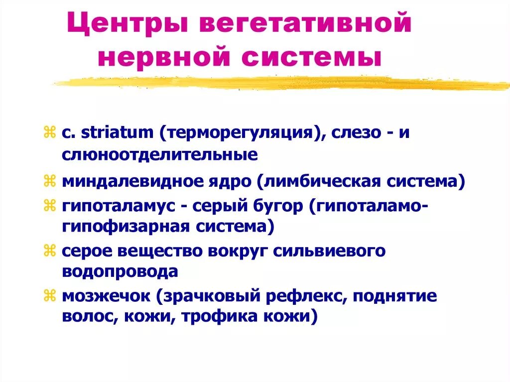 Центры вегетативной нервной системы. Надсегментарные отделы вегетативной нервной системы. Центры автономной нервной системы. Нервные центры вегетативной нервной системы. Вегетативная нервная система конспект