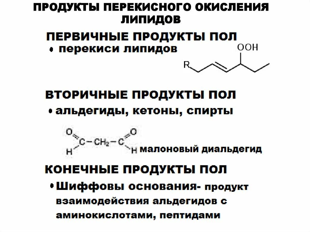 Пол липидов. Первичные и вторичные продукты окисления липидов. Продукты перекисного окисления липидов. Пол перекисное окисление липидов биохимия это. Пероксидное окисление липидов реакция.