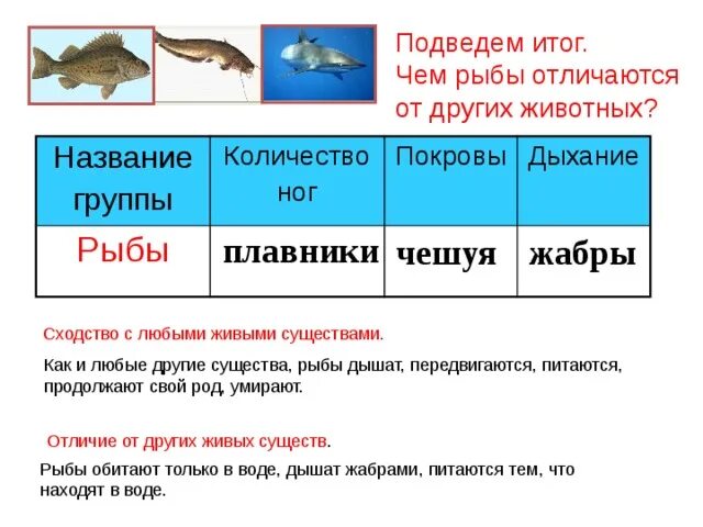 Рыбы отличаются от других животных. Чем отличаются рыбы от других. Название группы животных рыбы. Рыбы животные отличаются от рыб.