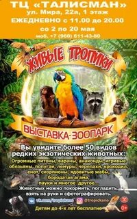 Выставка зоопарк живые тропики