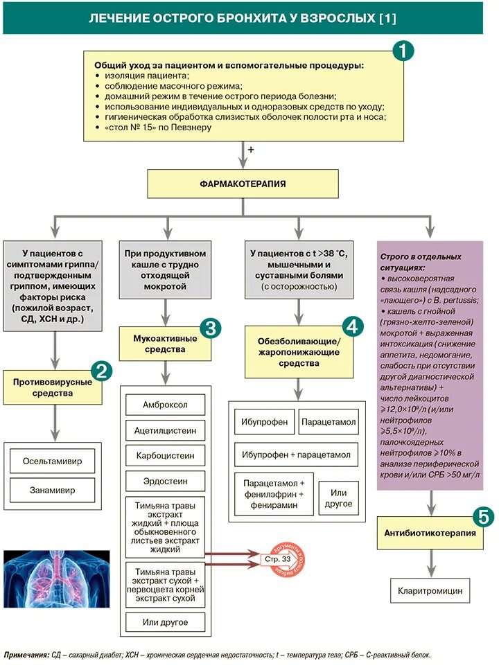 Схема бронхита. Схема лечения бронхита у взрослых. Показания к антибактериальной терапии при остром бронхите. Сколько восстановление после бронхита.