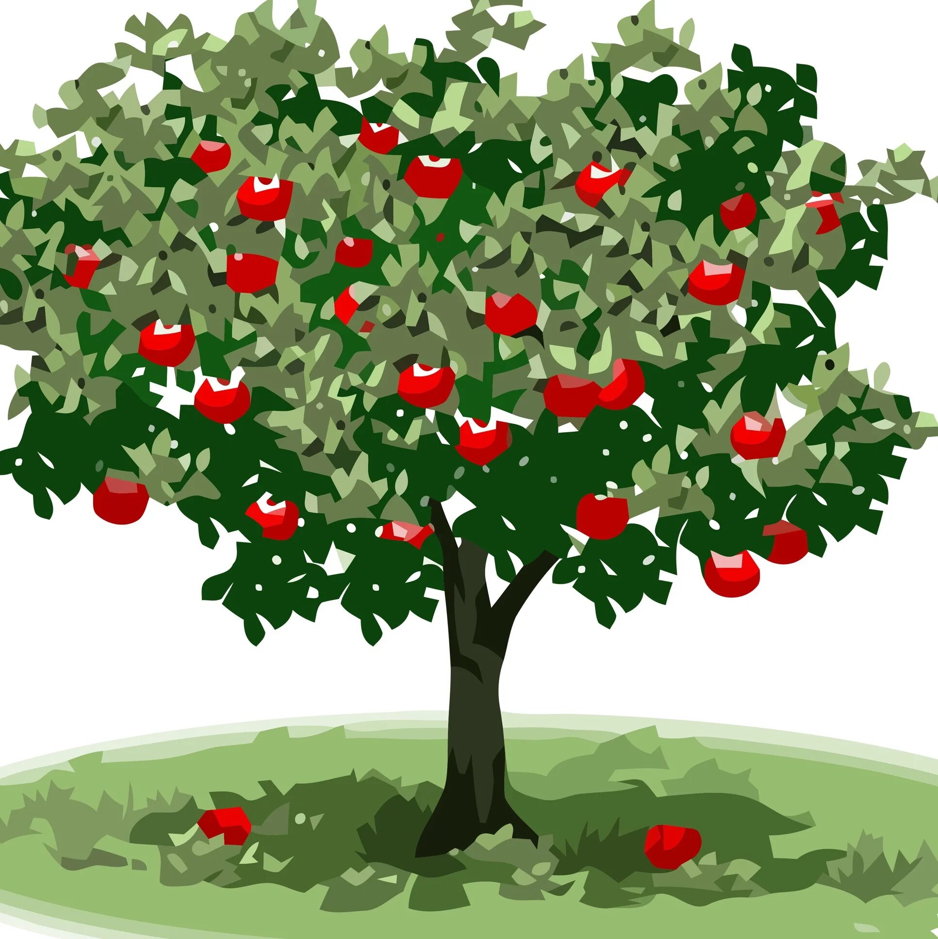 Яблоня дерево символ. Яблоня дерево. Яблоня для детей. Яблоня дерево для детей. Яблоня с яблоками дерево.