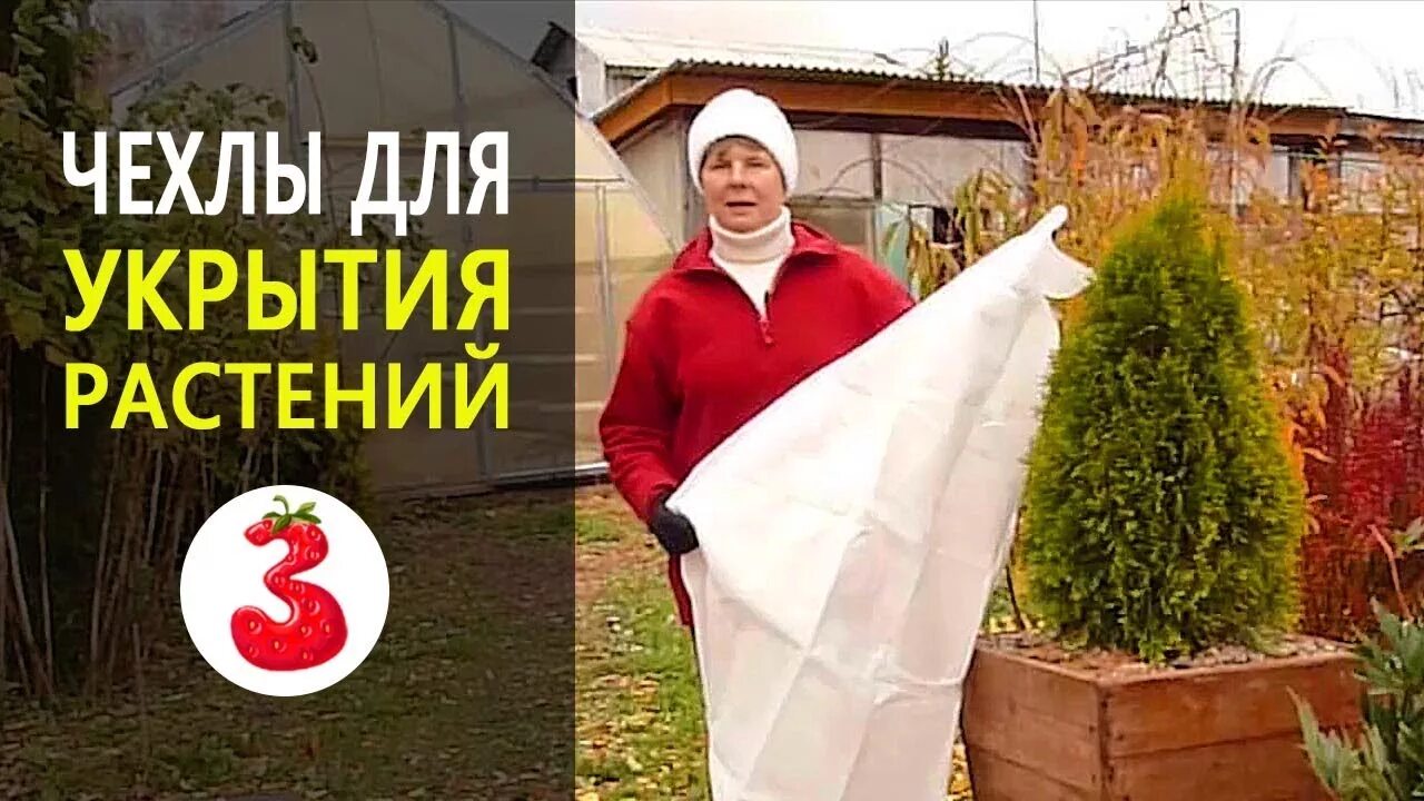 Чехлы для растений на зиму. Чехол для растений. укрытие растений. каркас для укрытия растений. каркасное укрытие для растений.