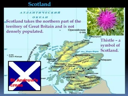 Northern parts