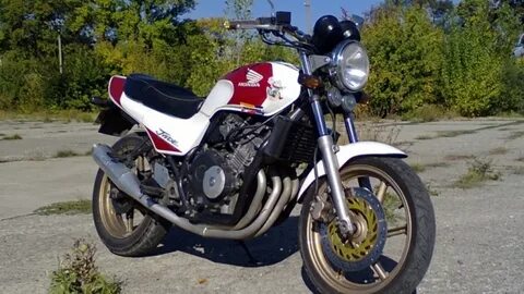 Дорожник 250
