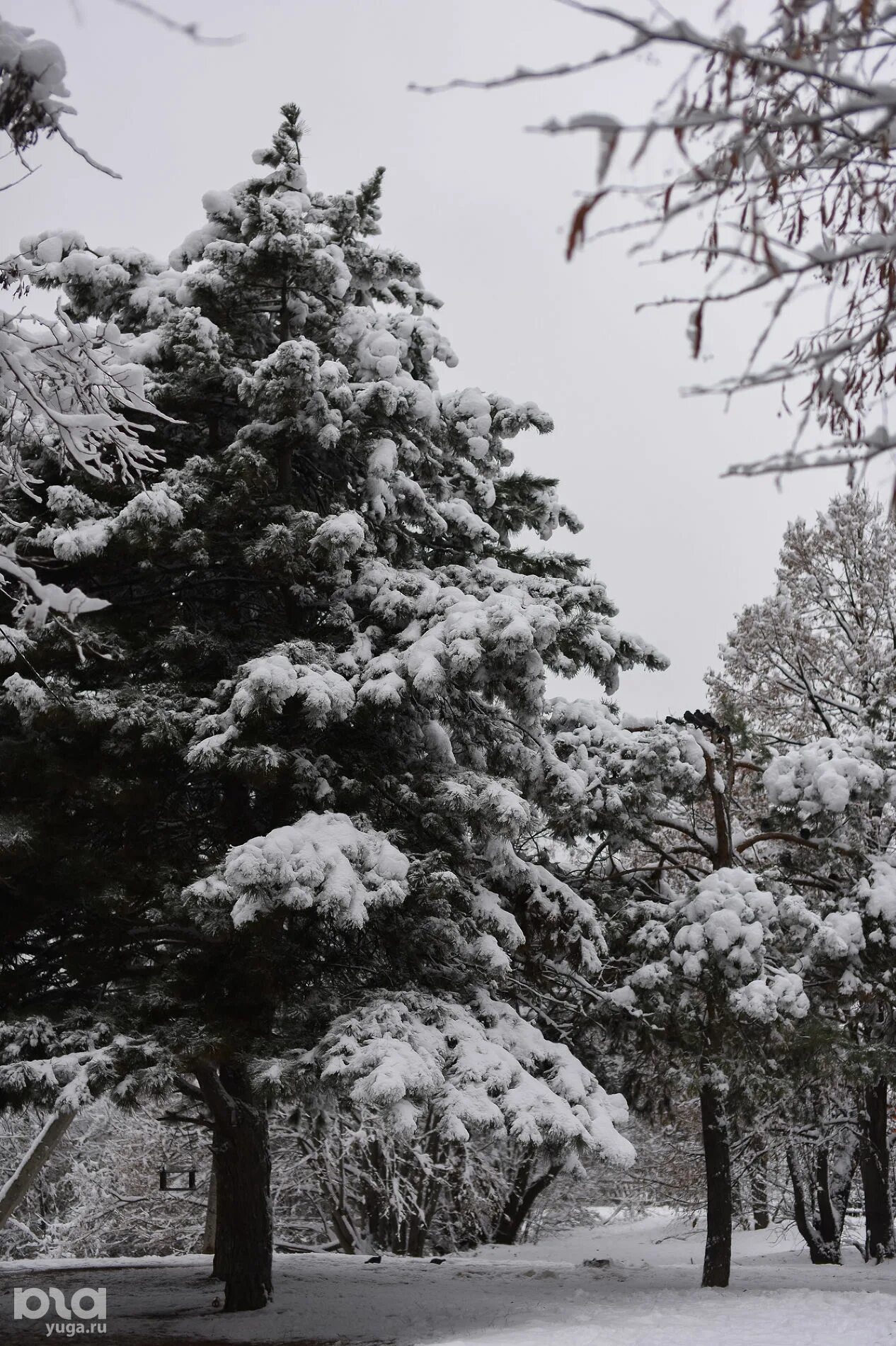 Декабрь в городе фото. Снежный март в пермском крае. В крае выпал снег. Снег фото. В крае выпал снег.
