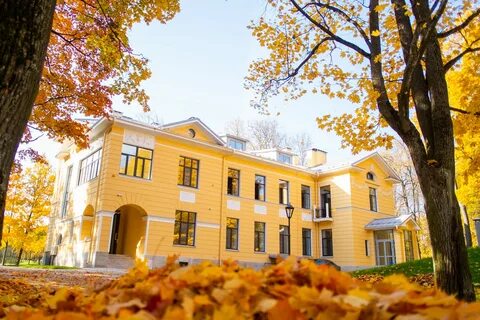 Хоспис спб