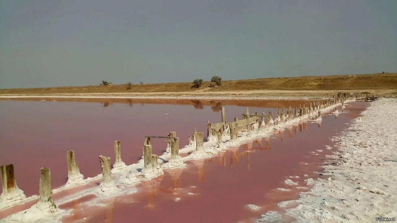 Розовый азербайджан. Озеро Масазыр Азербайджан. Розовое озеро масазыргёль в Баку. Соленому озеру Масазыр. Соленое озеро в Азербайджане.