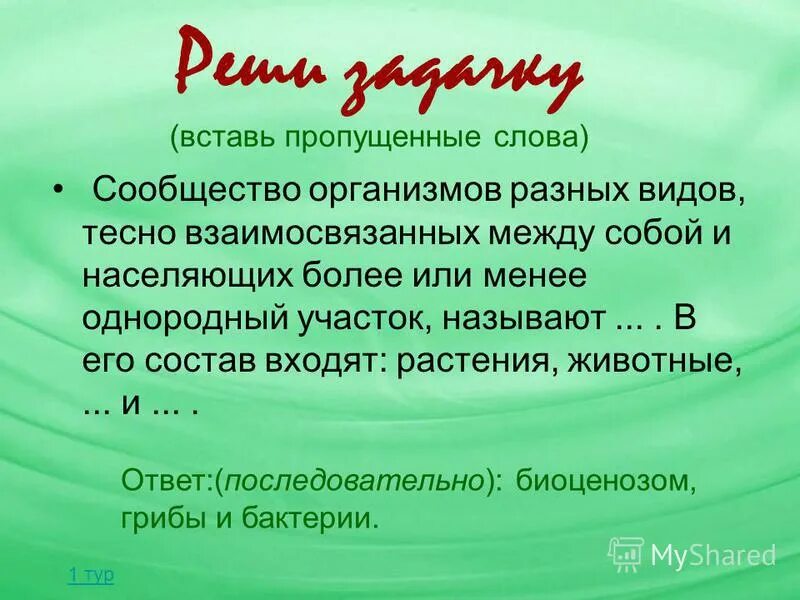 тесно взаимосвязаны между собой