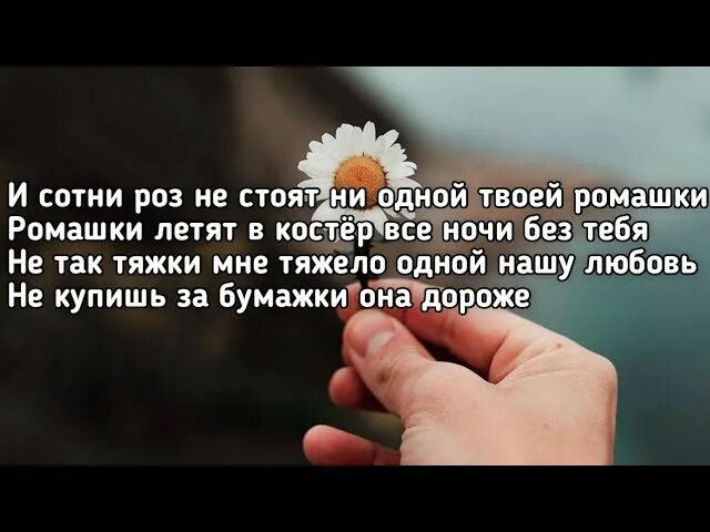 Не стоит ни 1 твоей ромашки. И сотни роз не стоят. сотни роз не стоят одной ромашки. и сотни роз не стоят ни одной твоей ромашки песня. текст песни и сотни роз не стоят ни одной твоей ромашки.