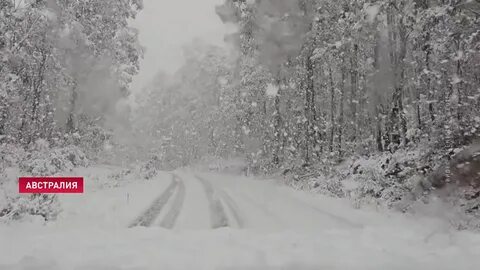 Сколько времени будет снег