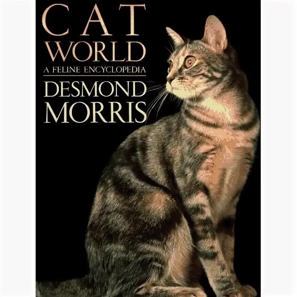 Кэт Моррис. Cat World. Morris кот. Кошка в Ворде.