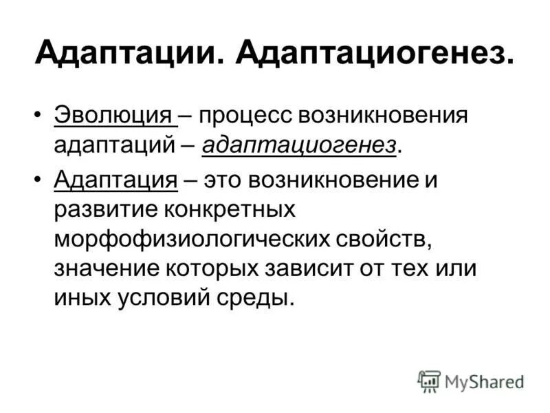 Адаптация в предложениях примеры Доклад на тему: "Адаптация учащихся 5 кл. в среднем звене школы"