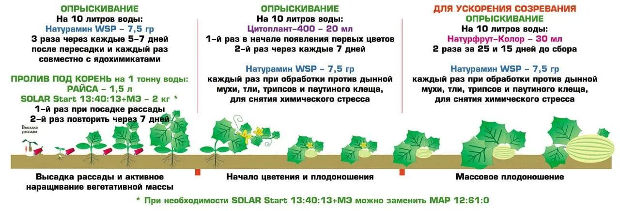 Удобрения при посадке огурцов. Схема удобрения огурцов в открытом грунте. Подкормки огурцов в открытом грунте по фазам развития таблица. Таблица подкормки огурца в теплице. Схема подкормки арбузов в открытом.