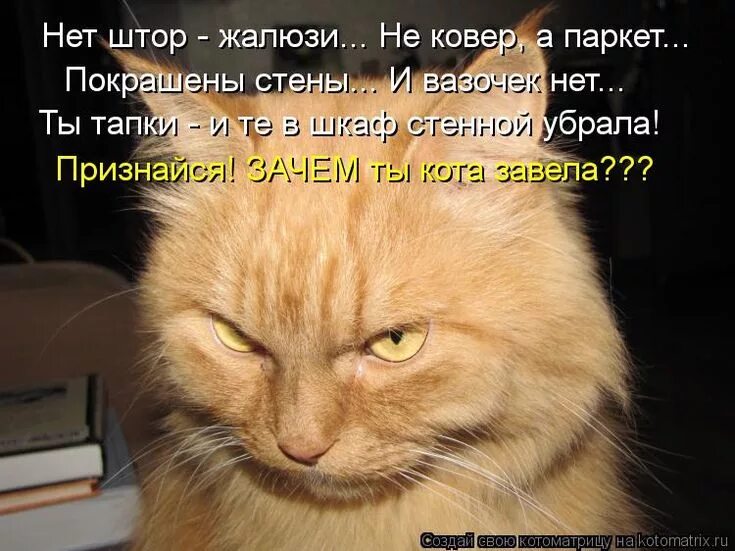 Почему коты молчат. Затаил обиду. Смешные стишки с котами. Обиженный кот с надписью. Кот думает.