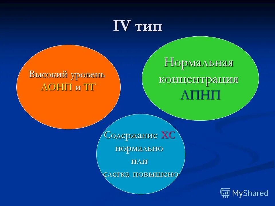 типы низшей нервной деятельности. культура успеха. брахиморфный тип телосложения. долихоморфный брахиморфный мезоморфный тип. учение о типах внд.