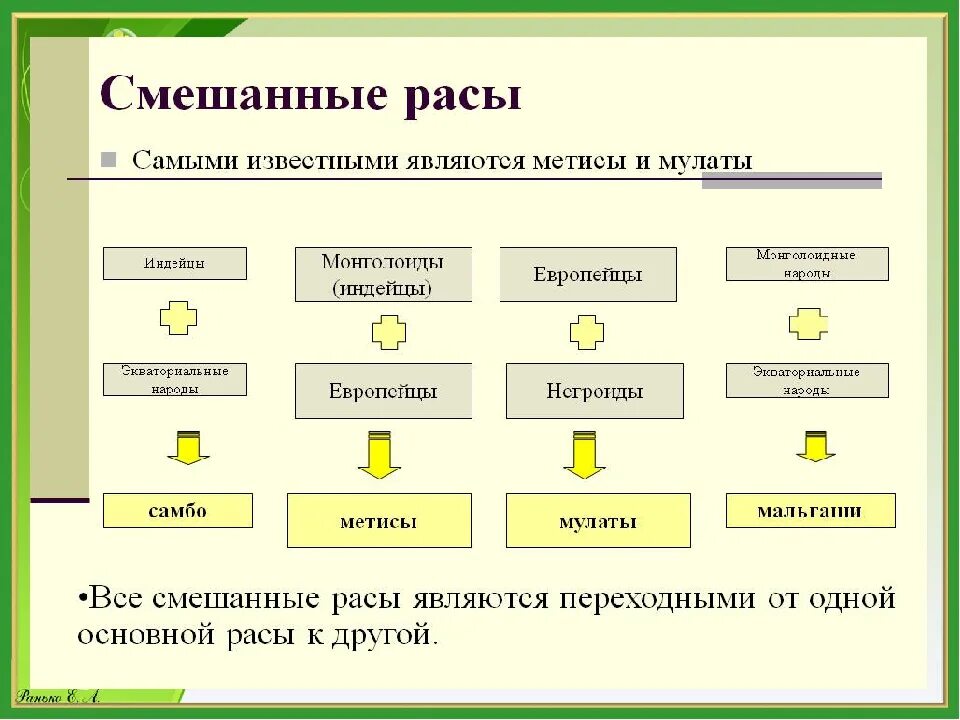 Человеческие расы 6 класс география. Смешанные расы. Основные и смешанные расы. Названия смешанных рас. Смешанные расы схема.