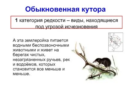 Категория редкости