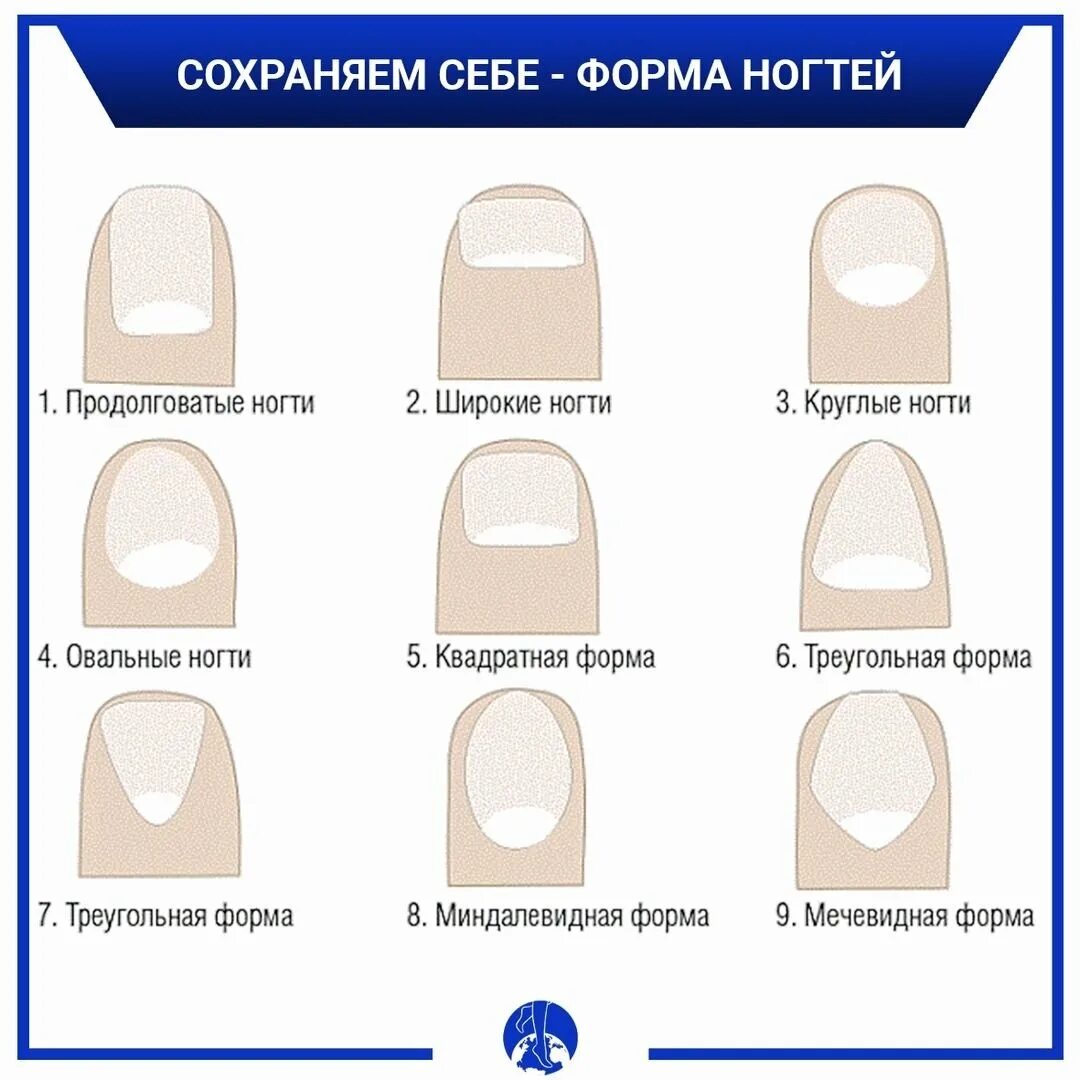 Как выпилить форму ногтей. Широкая ногтевая пластина какая форма ногтей подходит. Квадрат овал форма ногтей на короткие. Форма ногтевой пластины и характер. Форма ногтей мягкий овал.