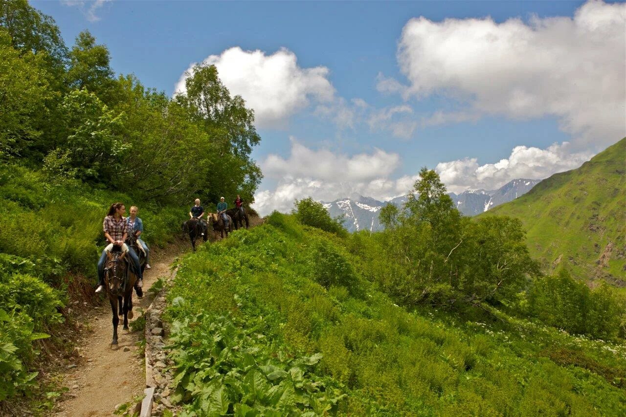 Конные прогулки адлер. Конные прогулки Чемал. Аибга конные прогулки. Конный туризм Адыгея.