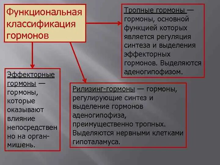 Гормоны от которых. Функциональная классификация гормонов. классификация гормонов физиология. тропные гормоны классификация. физиологическая классификация гормонов.