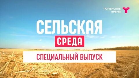 Сельская среда жизни