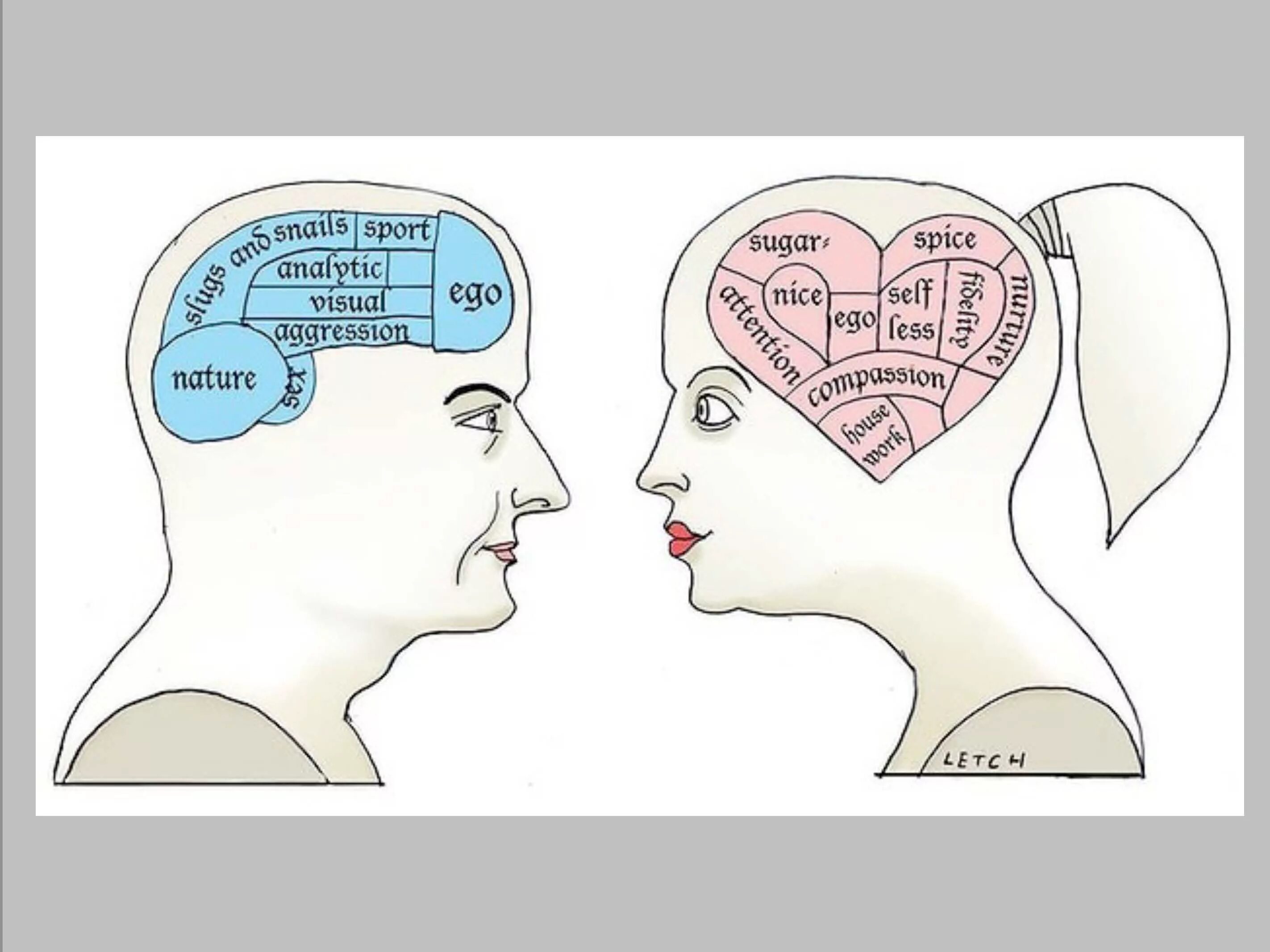 Женский мозг. Мужской мозг женский мозг. Мозг женщины. Мужской мозг женский мозг. Как работает мозг мужчины.