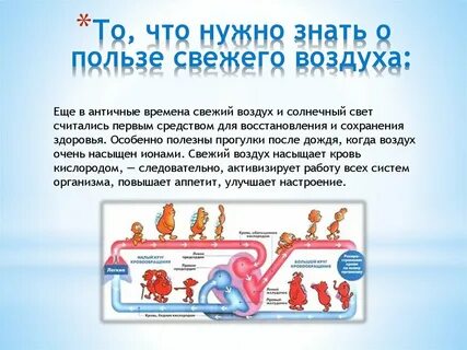Польза воздуха для здоровья человека